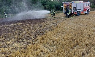 Die Blomberger Wehr bewässerte das Feld. - Feuerwehr Blomberg