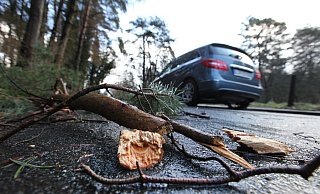 Lose Äste können durch Sturmböen abbrechen und die Straßen blockieren.  - Archivfoto: Vera Gerstendorf-Welle