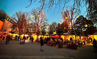 Besonders das heimelige Ambiente und die atmosphärische Beleuchtung sahen viele Besucher im vergangenen Jahr als großen Pluspunkt für den neuen Weihnachtsmarkt im Schlosspark. - Archivfoto: Raphael Bartling Besonders das heimelige Ambiente und die atmosphärische Beleuchtung sahen viele Besucher im vergangenen Jahr als großen Pluspunkt für den neuen Weihnachtsmarkt im Schlosspark. - Archivfoto: Raphael Bartling