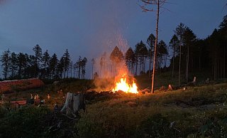 Die Feuerwehr hat einen Waldbrand bei Eschenbruch gelöscht. - Feuerwehr Blomberg