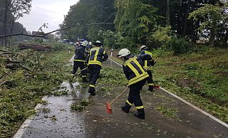 Bäume blockieren bei Uhlental die Straße. - Feuerwehr Barntrup Bäume blockieren bei Uhlental die Straße. - Feuerwehr Barntrup