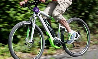 Bei einem Sturz im Wald hat sich ein Radfahrer schwer verletzt. - dpa Bei einem Sturz im Wald hat sich ein Radfahrer schwer verletzt. - dpa