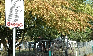 Aufgrund von Vandalismus, Lärm, Ordnungswidrigkeiten und Straftaten auf dem Gelände von Realschule und Grundschule „In der Senne" soll es dort Zäune geben. - Manfred Brinkmeier