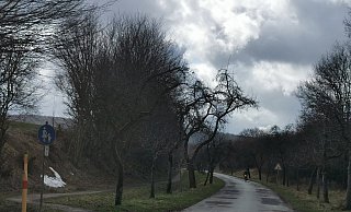 Ist renovierungsbedürftig: die Straße Wolfsiek, die zum Friedhof und RSV-Stadion führt. Nach dem Willen von Grünen und SPD soll sie nicht nur einen neuen Belag und Fußweg sondern auch eine Beleuchtung erhalten. CDU und FDP halten letzteres derzeit für zu teuer für die Stadtkasse. - Sylvia Frevert(LZ)