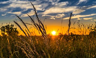  - Symbolfoto: Pixabay