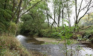 Hier grenzt das Naturschutzgebiet Holzhauser Bruch an. - Birgit Guhlke Hier grenzt das Naturschutzgebiet Holzhauser Bruch an. - Birgit Guhlke