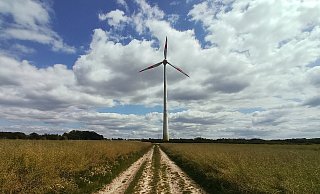 Der Landesverband Lippe möchte auf seinen Flächen im Bent in Extertal drei neue Windräder bauen. Beteiligt sind die Stadtwerke Lemgo. Das Foto zeigt eine Windenergieanlage am Patensteig. - Jens Rademacher