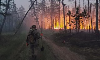 Freiwillige löschen einen Waldbrand in der Republik Sacha, auch bekannt als Jakutien. - Foto: Ivan Nikiforov/AP/dpa Freiwillige löschen einen Waldbrand in der Republik Sacha, auch bekannt als Jakutien. - Foto: Ivan Nikiforov/AP/dpa