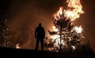 Hunderte Feuerwehrleute und freiwillige Helfer k&auml;mpfen auf der griechischen Insel Eub&ouml;a weiter gegen die Flammen. Die Feuerfront nahe der Ortschaft Psachna hat eine L&auml;nge von mehr als elf Kilometern, hei&szlig;t es. - Foto: Yorgos Karahalis/AP