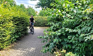 Werner Kloppmann vom ADFC fährt mit seinem Rad auf dem schmalen Weg zwischen Hornschem Weg und Zum Kleinen Siek. Bis vor wenigen Tagen wuchs die Hecke noch auf den Weg, jetzt wurde sie geschnitten. - Katrin Kantelberg Werner Kloppmann vom ADFC fährt mit seinem Rad auf dem schmalen Weg zwischen Hornschem Weg und Zum Kleinen Siek. Bis vor wenigen Tagen wuchs die Hecke noch auf den Weg, jetzt wurde sie geschnitten. - Katrin Kantelberg