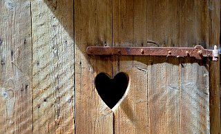  - Pixabay