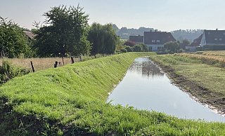 Bildzeile: Sie haben den ersten Stresstest bestanden: die Mulden-Damm-Systeme in Klüt. - Stadt Detmold Bildzeile: Sie haben den ersten Stresstest bestanden: die Mulden-Damm-Systeme in Klüt. - Stadt Detmold