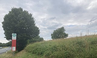 Für den Eickernberg gibt es einen Antrag, dort eine Freiflächenfotovoltaik-Anlage zuzulassen. - Cordula Gröne Für den Eickernberg gibt es einen Antrag, dort eine Freiflächenfotovoltaik-Anlage zuzulassen. - Cordula Gröne