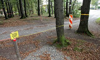 Unmittelbar hinter Parkplatz vom Aussichtsturm - Bernhard Preuss Unmittelbar hinter Parkplatz vom Aussichtsturm - Bernhard Preuss