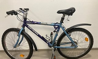 Dieses Fahrrad wurde am Hellweg in Blomberg gefunden. - Polizei Lippe
