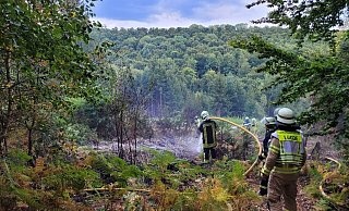 Die Feuerwehr Lügde löscht einen "versteckten" Waldbrand. - Feuerwehr Lügde Die Feuerwehr Lügde löscht einen "versteckten" Waldbrand. - Feuerwehr Lügde