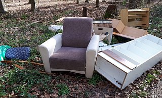 Wieder hat jemand seinen Sperrmüll im Waldstück in der Nähe des Tierheims abgeladen. - Marion Brinkmann
