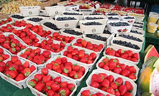 Erdbeeren auf einem Wochenmarkt in Lippe.  - Symbolfoto: Cordula Gröne