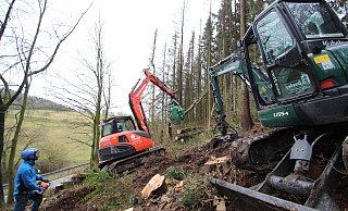 Baumf&auml;llung: Christopher Sauer (links), Firmen-Mitinhaber Lars H&ouml;verler (im Bagger) und Kai Klocke (nicht im Bild) f&auml;llen Fichten an der Stra&szlig;e S&uuml;dholz bei Talle. - Jens Rademacher