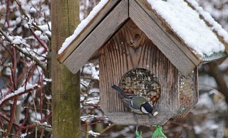 Freihängendes, überdachtes Futterhaus mit Absperrung gegen Zugang für Nager.  - BUND Lemgo