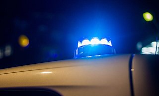 Ein Blaulicht leuchtet auf dem Dach eines Polizeifahrzeugs. - Fernando Gutierrez-Juarez/dpa/Symbolbild