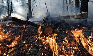 Waldbrand im August im Gebiet Gorny Ulus (Jakutien). - Foto: Valeriy Melnikov/Sputnik/dpa Waldbrand im August im Gebiet Gorny Ulus (Jakutien). - Foto: Valeriy Melnikov/Sputnik/dpa