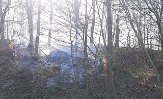 Durch das schnelle Eingreifen der Einsatzkräfte konnte eine Ausbreitung der Flammen verhindert werden. - Feuerwehr Lügde