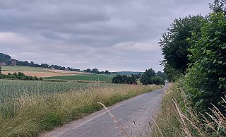 Schieder-Schwalenberg verfügt über rund 330 Kilometer Wirtschaftswege, davon sind 119 Kilometer in städtischem Besitz. Dieser Wirtschaftsweg liegt zwischen Brakelsiek und Schwalenberg. - Michaela Weiße