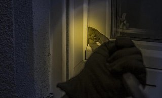 Die Täter konnten ein Fenster aufbrechen. - Symbolbild: Pixabay