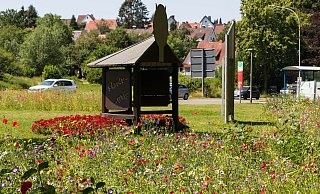 Blumenpracht: Rund um den Kreisel in Bad Meinberg und an vielen weiteren Ecken im Stadtgebiet von Horn-Bad Meinberg hat die Kommune inzwischen Blühwiesen anlegen lassen. Es handelt sich dabei um mehrjährige Blumenmischungen. - Patrizia Lerch Blumenpracht: Rund um den Kreisel in Bad Meinberg und an vielen weiteren Ecken im Stadtgebiet von Horn-Bad Meinberg hat die Kommune inzwischen Blühwiesen anlegen lassen. Es handelt sich dabei um mehrjährige Blumenmischungen. - Patrizia Lerch