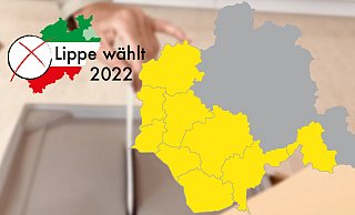 Zum Wahlkreis Lippe 2 gehören die Kommunen Barntrup, Blomberg, Dörentrup, Extertal, Kalletal, Lemgo und Lügde sowie die Herforder Kommune Vlotho. - Pixabay/Yvonne Glandien