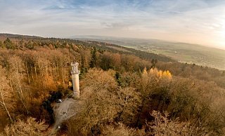 Schon 2018, nach dem ersten der Dürresommer, sieht es rund um den Aussichtsturm in der Lemgoer Mark so aus – ziemlich trocken. Inzwischen ist ein Gros der Fichten tot. Ob ihre Gerippe eine Waldbrand-Gefahr darstellen, möchte nun die CDU wissen. - Torben Gocke