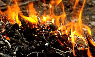 Symbolbild. - Pixabay