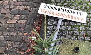 Spotted: Vor dem Café Weber in Lemgo wird gesammelt. - Archivfoto: Tanja Watermann Spotted: Vor dem Café Weber in Lemgo wird gesammelt. - Archivfoto: Tanja Watermann