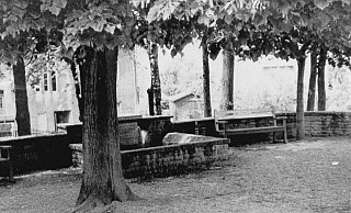 Unter der alten Sängerlinde standen Bänke und ein Springbrunnen (ca. 1965). - Wulf Daneyko Unter der alten Sängerlinde standen Bänke und ein Springbrunnen (ca. 1965). - Wulf Daneyko