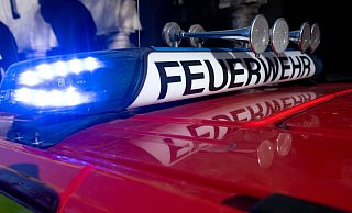 Wie viele Schweine bei dem Einsatz der Feuerwehr gerettet werden konnten, war zunächst unklar. (Symbolfoto) - Sven Hoppe/dpa Wie viele Schweine bei dem Einsatz der Feuerwehr gerettet werden konnten, war zunächst unklar. (Symbolfoto) - Sven Hoppe/dpa