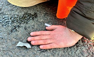 Eine Klimaaktivistin hat sich mit der Hand auf einer Hauptverkehrsstraße festgeklebt. - Peter Zschunke/dpa-Zentralbild/dpa Eine Klimaaktivistin hat sich mit der Hand auf einer Hauptverkehrsstraße festgeklebt. - Peter Zschunke/dpa-Zentralbild/dpa