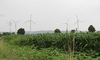 Vier Windräder drehen sich bereits in der Nähe von Hardissen, fünf weitere will die Windpark Lage-Lückhausen GmbH & Co. KG in der Nähe bauen. - Nadine Uphoff
