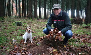 Oberförster Hans-Friedrich Meiercord hält Laub in der Hand. Künftig soll es mehr Wald in Lemgo geben. - Kirsten Fuhrmann Oberförster Hans-Friedrich Meiercord hält Laub in der Hand. Künftig soll es mehr Wald in Lemgo geben. - Kirsten Fuhrmann
