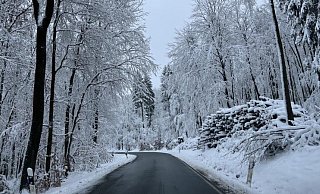 Im Winter 2023 präsentiert sich der Wald zwischen Lüdenhausen und Linderhofe als "Winterwunderland". An einigen Stellen locken noch ähnliche Blicke in Lippe. - Till Brand Im Winter 2023 präsentiert sich der Wald zwischen Lüdenhausen und Linderhofe als "Winterwunderland". An einigen Stellen locken noch ähnliche Blicke in Lippe. - Till Brand