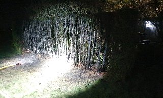 Die Feuerwehr löschte einen Heckenbrand. - Feuerwehr Lage Die Feuerwehr löschte einen Heckenbrand. - Feuerwehr Lage