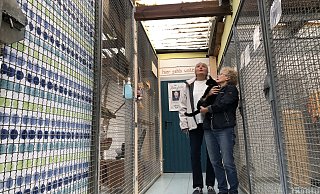 Undicht: Angelika Szrama (links) und Bärbel Karge werfen im Katzenhaus einen bangen Blick zur Decke. Bei Regen läuft in einige Käfige Wasser. - Sven Kienscherf Undicht: Angelika Szrama (links) und Bärbel Karge werfen im Katzenhaus einen bangen Blick zur Decke. Bei Regen läuft in einige Käfige Wasser. - Sven Kienscherf