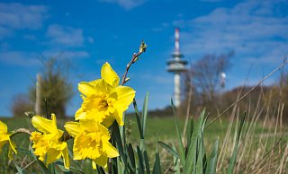Ab Freitag, 3. April, ist der Köterberg in Lügde nur noch zu Fuß erreichbar. - Wolfgang Furmanski Ab Freitag, 3. April, ist der Köterberg in Lügde nur noch zu Fuß erreichbar. - Wolfgang Furmanski