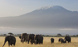 Die Multivisionsshow f&uuml;hrt nach Ostafrika. - Jutta Ulmer
