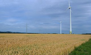 In Leopoldshöhe könnten sechs neue Windkraftanlagen mit Höhen zwischen 180 und 250 Metern entstehen. Ein entsprechendes Prüfverfahren soll klären, ob die vorgesehenen Standorte geeignet sind. Auf dem Bild zu sehen: Windräder im Ortsteil Greste. Foto: Düsterberg - Martin Düsterberg