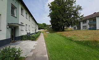 In der Augustdorfer Wohnsiedlung "Am Dören" haben sich die Verhältnisse gebessert. Mit etwas Farbe und neu gepflanzten Hecken ist das Haus Mittelstraße 3-5 im August 2024 vom Eigentümer aufgehübscht worden - allerdings nur dieses eine Haus und auch nur äußerlich. Die Probleme mit Vermüllung und Ruhestörungen sind Gemeinde, Ordnungsdienst und Kreis gemeinsam angegangen. - Archivfoto: Jost Wolf