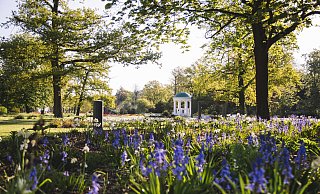 Auch die Bepflanzung des Kurparks hat in der Umfrage gute Noten bekommen. Bemängelt wurde von mehreren Teilnehmern die aus ihrer Sicht nicht ausreichende Anzahl an Sitzplätzen. - Nadja Jacke/Stadt Bad Salzuflen Auch die Bepflanzung des Kurparks hat in der Umfrage gute Noten bekommen. Bemängelt wurde von mehreren Teilnehmern die aus ihrer Sicht nicht ausreichende Anzahl an Sitzplätzen. - Nadja Jacke/Stadt Bad Salzuflen