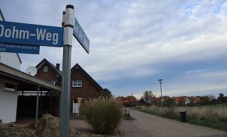 Das Baugebiet Brunsheide sollte ein Diskussionspunkt der drei Kandiaten sein. - Archivfoto: Birgit Guhlke