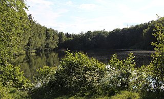 Der Pottkuhlenteich könnte bei einem Starkregenereignis bis zu 30.000 Kubikmeter Wasser zusätzlich aufnehmen. - Nadine Uphoff/Archivfoto Der Pottkuhlenteich könnte bei einem Starkregenereignis bis zu 30.000 Kubikmeter Wasser zusätzlich aufnehmen. - Nadine Uphoff/Archivfoto