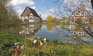 Das Paderborner Dorf im Freilichtmuseum Detmold - LWL/Jähne Das Paderborner Dorf im Freilichtmuseum Detmold - LWL/Jähne
